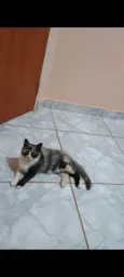 Princesa