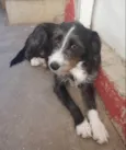 Zeca