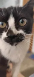 Zoe