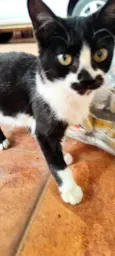 Zoe