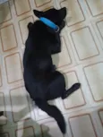 Fred