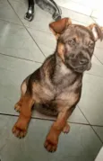 Mel