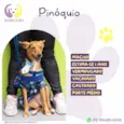 Pinóquio