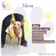 Nina