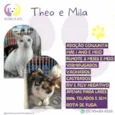 Theo e Mila