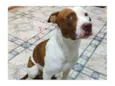 Heitor