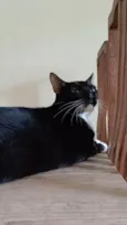 Baltazar