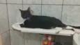Baltazar