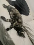 Olivia