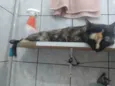 Olivia