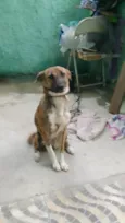 Pandora
