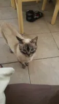 Tita