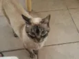 Tita