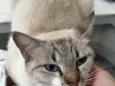 Mel
