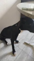 Atena