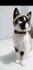 Nick