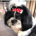 Mavi