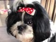 Mavi