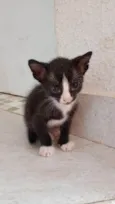 Milena e Batman