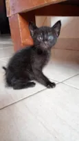 Milena e Batman