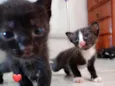 Milena e Batman