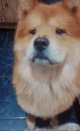 Ralfh