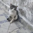 Ainda não tem um nome