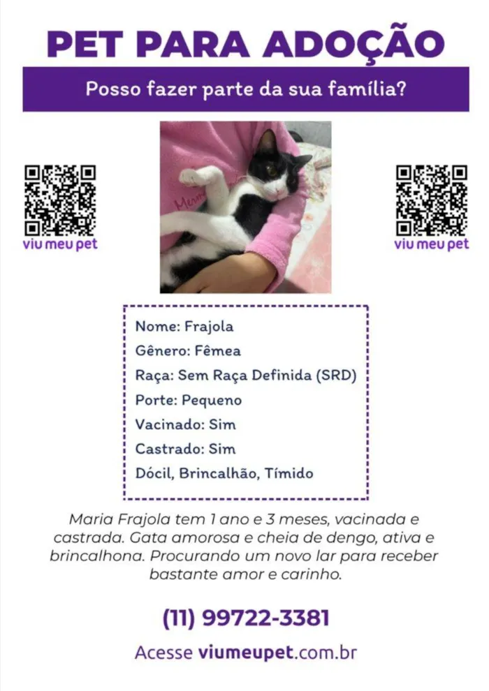 Gato ra a SRD-ViraLata idade 1 ano nome Frajola