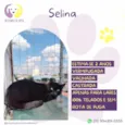 Selina