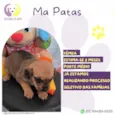 Ma Patas