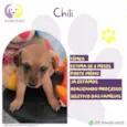 Chili