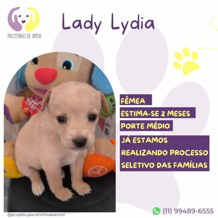 Cachorro ra a SRD-ViraLata idade Abaixo de 2 meses nome Lady Lydia