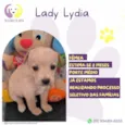 Lady Lydia