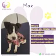Max