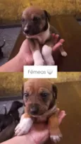 Ainda não tem nome