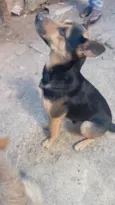 Tô