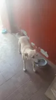 TITA