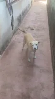 TITA