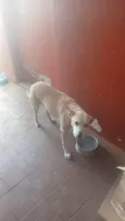 TITA