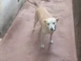 TITA