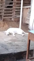 MARLEY