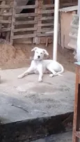 MARLEY