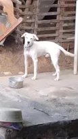 MARLEY