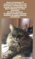 Gordurosa