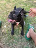 Lua