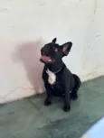 Lua