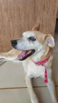 Mel