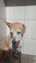 Mel
