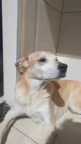 Mel
