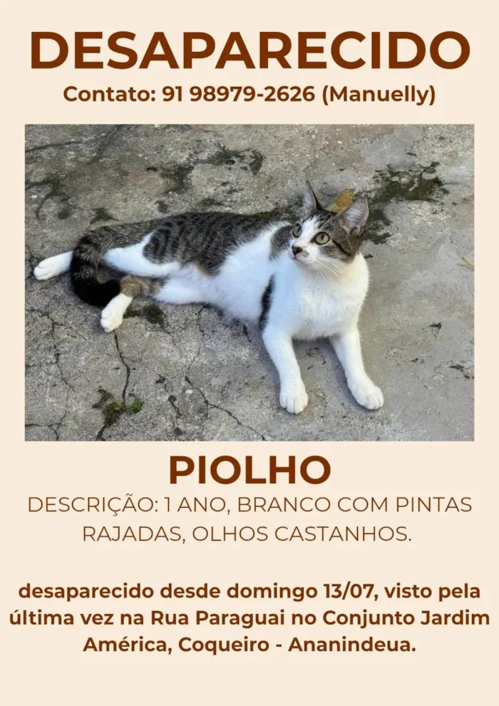 Gato ra a SRD-ViraLata idade 1 ano nome Piolho 